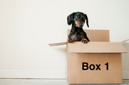 Box1 taxes